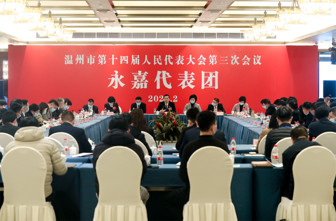 市人大代表、公司党支部书记李向英参加温州市“两会”